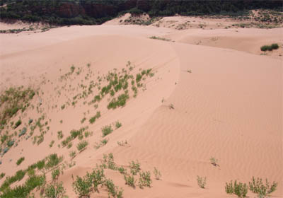 Coral Pink Sand Dunes - zone non motocross